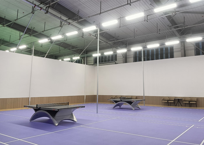Indoor Sports Lighting