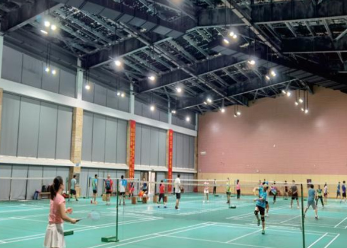 Badminton Court Lighting Solution